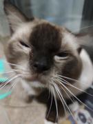 小盆友呀的个人资料头像