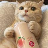 文件传榆助手377头像