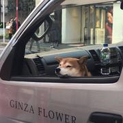 JJJLG的个人资料头像