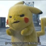 shelleyhlx的个人资料头像