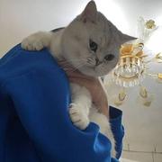 赛博格油田的个人资料头像