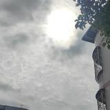 掘卜头像