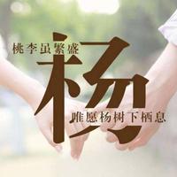 ๓杨๓头像