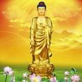 直爽奇点头像