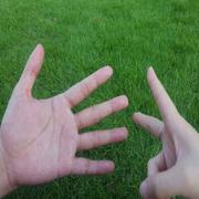 吴坤鹏的个人资料头像