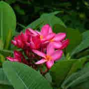 安唐邬的个人资料头像