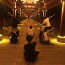 EncoL的个人资料头像