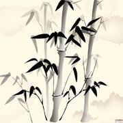 沈源的个人资料头像