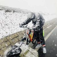 想旅游的白泽头像