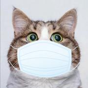 我和鸽子有个约会的个人资料头像