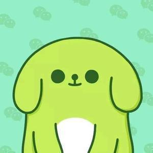 鹏鹏说保头像