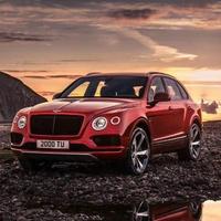 不会起名字imTy头像