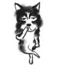 菜包狗重名了的个人资料头像