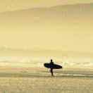 风轻扬四海的个人资料头像