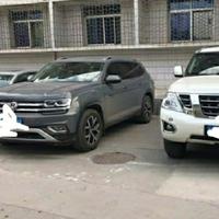 泰迪找我领狗粮头像