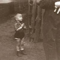 自在霍普3c1头像