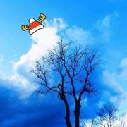 lx172的个人资料头像