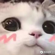 命运魔方1314的个人资料头像