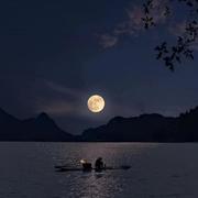 安妮的心动录a的个人资料头像