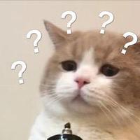 房东的猫17328头像