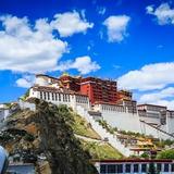 阳光23868头像