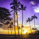 为了你而努力头像