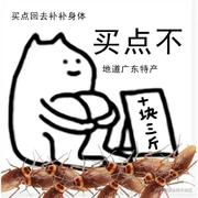 清海小鱼Doy的个人资料头像