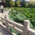 A美丽的江边小城旅游餐饮业头像