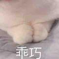 碳水分解者头像