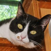 土豆_的个人资料头像