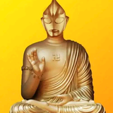 zhanguangxiang头像