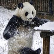 用户4582249517605的个人资料头像