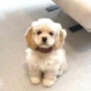 在掘金的名字的个人资料头像