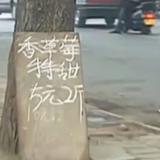 心绪明魅头像