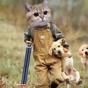 墨镜找到了的个人资料头像