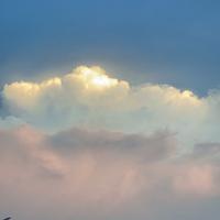 晓冬觉醒123头像