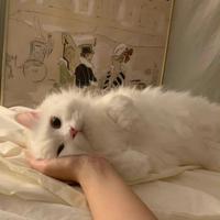 用户4134578411077头像