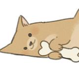 大明3275头像