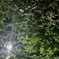 用户7282253526753头像