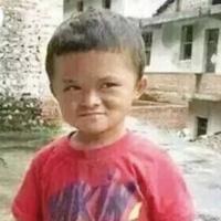 曹县彭摆鱼头像