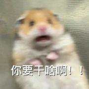 小金牛的个人资料头像
