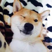 歩贰的个人资料头像