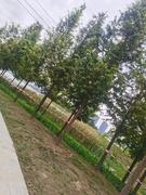 随随小意的个人资料头像