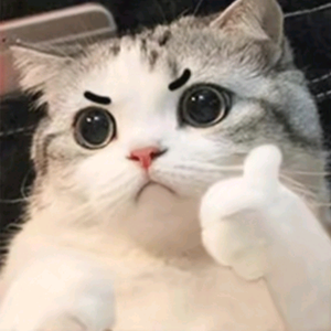 逆无敌头像