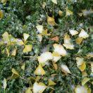 有情怀的阿布的个人资料头像