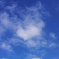 松阳车立方二手车头像