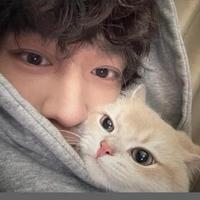 没钱不一定是桥儿头像