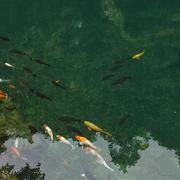 用户6241252111870的个人资料头像