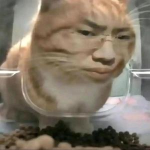 听泉鉴头像