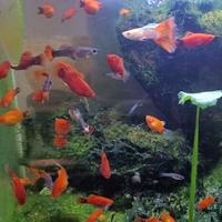 用户7077045269007头像